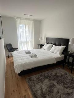 Modern Apt with top location in Kloten - 6