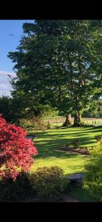 Scott's Barn - Cookstown - 8