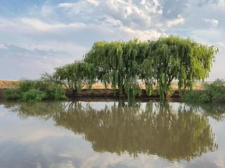 Die Damhuis by Heybert - Secunda - 6