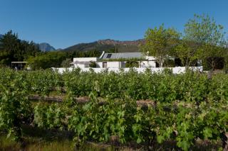 La Galiniere Guest Cottages - Franschhoek - 3