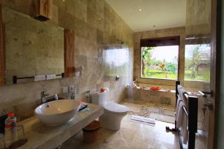 Mesari Hotel Ubud - Ubud - 3