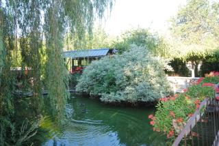 Les insolites du grand logis - 8