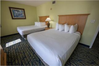 Spacious 3 BR Condo with Immaculate Oceanfront Views! Paradise 1610 - Myrtle Beach - 2