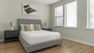 Landing at Foster on the Park - 1 Bedroom in Downtown - Durham - 6