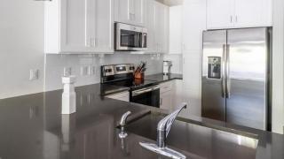 Landing at Avalon at James Island - 1 Bedroom in Charleston - Charleston - 3