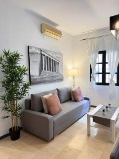 Duplex - Terraza solarium - Alameda de hercules - Sevilla - 9
