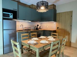 Superior Baltea 3 rooms, 2 bedrooms, Beach 800m, Air Condition! - Danzig - 5