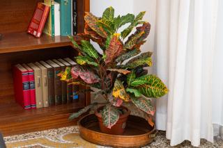 Clodia 5 by Rental in Rome - 2