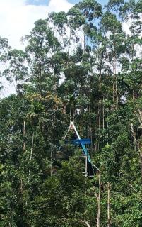 Nest In Mist Munnar Service Villa - Munnar - 9