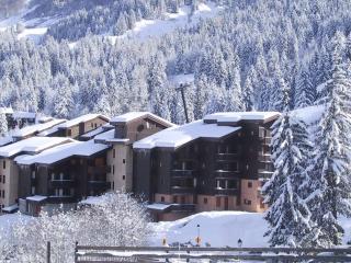 2 pièces, skis aux pieds, proche commerce et télécabine - FR-1-356-224 - 5