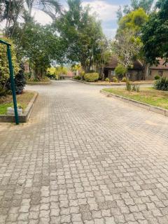 Tan 46 Park Acres - Nelspruit - 0