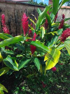 KAN'DLO - Le Morne Rouge - 4