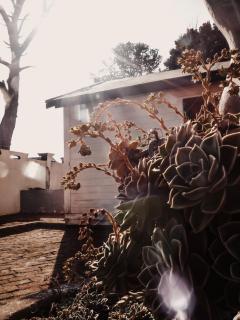 King George's Guest House - 2