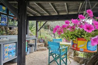 Magical Treehouse Cabin by the sea with amazing views - Koukouleika - 2