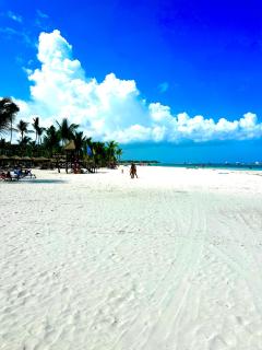 Gold Reef 101 - Exclusiv 2 BR mit Pool, Beach Shuttle und Tiefgarage - Punta Cana - 7