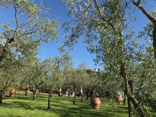 Agriturismo Podere Campiglia - Pian di Scò - 7