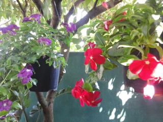 House Of Esanya - Negombo - 0