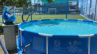 Casa na Praia dos Carneiros - 7