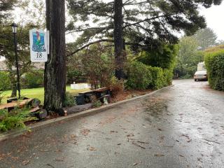 Mermaid's Muse Bed and Breakfast - Brookings - 5