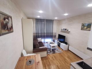 Danilovic Apartmani - Zlatibor - 6