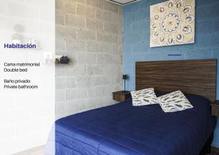 Casa Cobre StayHouse - San Luis Potosí - 1