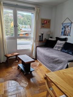 Apt confortable au pied des pistes et de la forêt - Bolquere Pyrenees 2000 - 3