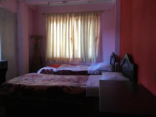 Pashupati Darshan Hotel - Kathmandu - 8