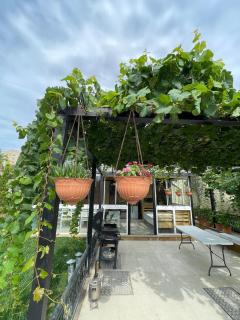 Novkhani Garden by the beach - 2