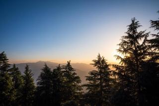 The Hill Story, Entire Chalet, Offbeat,Cozy - 7