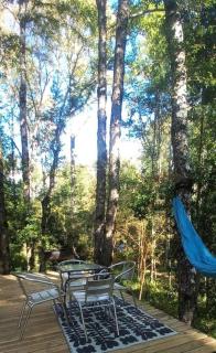 Tiny House nueva en el bosque a 6 min de Pucón - 3
