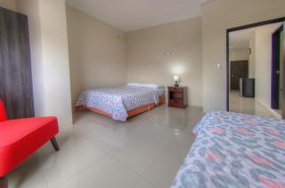 Dreams Studios & Apartments - Puerto Ayora - 2
