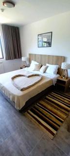 Bansko Friendly apartment - Bansko - 3