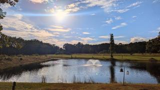 Cozy Cabin on 80 acres in The Ozarks, very unique! - 3
