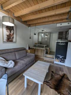 La Foux d'Allos Duplex au pied des pistes - - 9