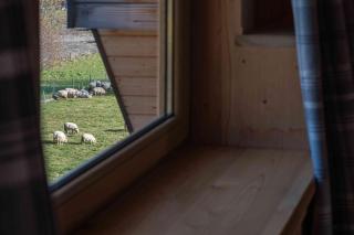 Domek pod Jaworem z balią - Witów - 2