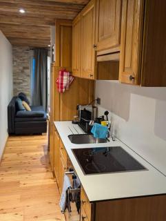 Studio Le Chamois - Veysonnaz - Veysonnaz - 5