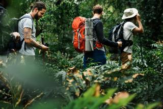 La Shamana - Ecological Concept in Jungle - 1