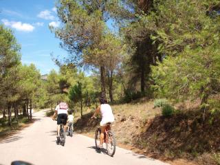 Camping Bungalows Mariola - 1