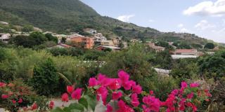 LAPALOMADESANSEs - Les Anses-d'Arlets - 1
