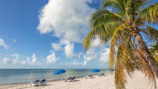 Atlantic Reflections by Last Key Realty - 5