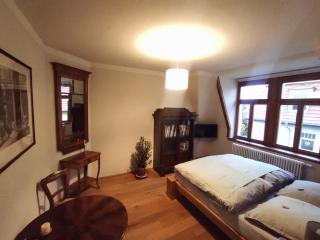 Zentrumsnahe Ferienwohnung "Anno 1830" in Dresden, ruhig und mit bester ÖPNV-Anbindung - 8