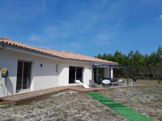 Magnifique maison de plein pied - Lesperon - 8
