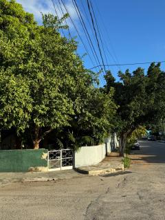 Casa Mango Confort - 1