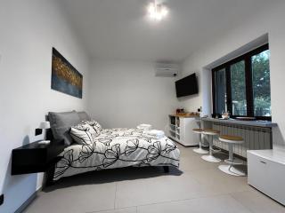 The One Malpensa Rooms - Vizzola Ticino - 7