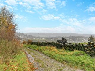 Bolster Moor Barn - Golcar - 9
