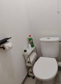 Charmant Appartement Cozy - Saint-Jory - 6