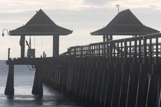 Comfy 3 bedroom with parking & close to everything - 4