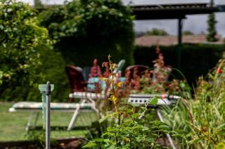Ferienwohnung-mit-Balkon - Rechlin - 9