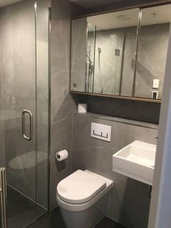 Sunrise Penthouse Apartment - Queenstown - 4