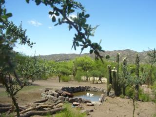 Finca Puesta del sol - San Agustín de Valle Fértil - 9